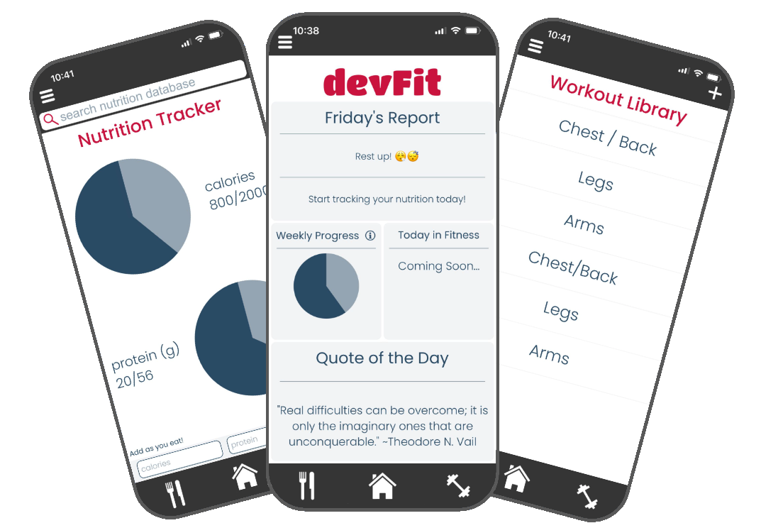 DevFit interface